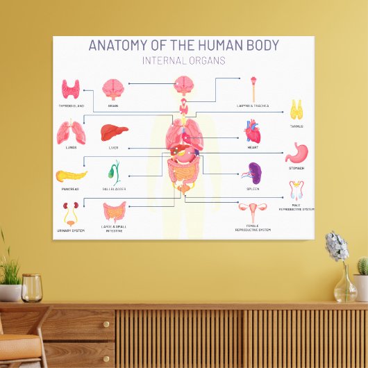 Organsystem Leinwanddruck (Insitu (Wohnzimmer))