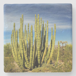 Orgelkaktus in Arizona, Untersetzer aus quadratisc