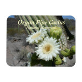 Orgelpfeife Cactus National Monument Magnet (Horizontal)