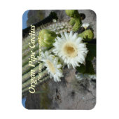 Orgelpfeife Cactus National Monument Magnet (Vertikal)
