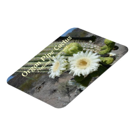 Orgelpfeife Cactus National Monument Magnet (Linke Seite)