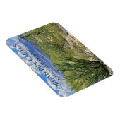 Orgelpfeife Kakteen, Ocotillo Shrub, Ajo Berge Magnet (Rechte Seite)