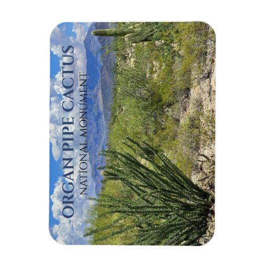 Orgelpfeife Kakteen, Ocotillo Shrub, Ajo Berge Magnet (Vertikal)