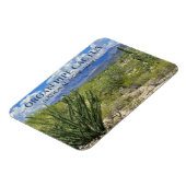 Orgelpfeife Kakteen, Ocotillo Shrub, Ajo Berge Magnet (Linke Seite)