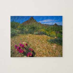 Orgelpfeife-Kaktus-nationales Monument, Arizona, 3 Puzzle
