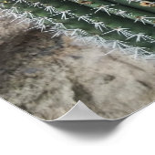 Orgelpfeife Kaktus Südwestkakti Wanddekor Poster (Ecke)