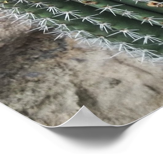 Orgelpfeife Kaktus Südwestkakti Wanddekor Poster (Ecke)