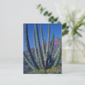 Orgelpfeife Postkarte (Stehend Vorderseite)