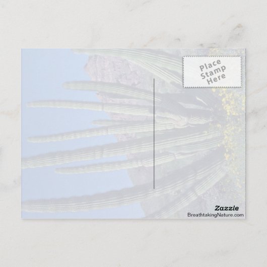 Orgelpfeife Postkarte (Rückseite)