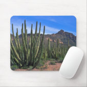 Orgelpfeifen in der Wüste Mousepad (Mit Mouse)