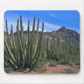 Orgelpfeifen in der Wüste Mousepad (Vorne)
