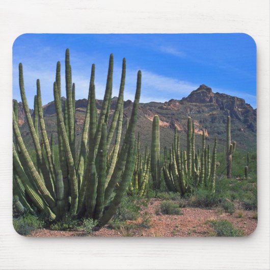 Orgelpfeifen in der Wüste Mousepad (Vorne)