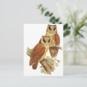Oriental Bay Owl Postkarte (Stehend Vorderseite)