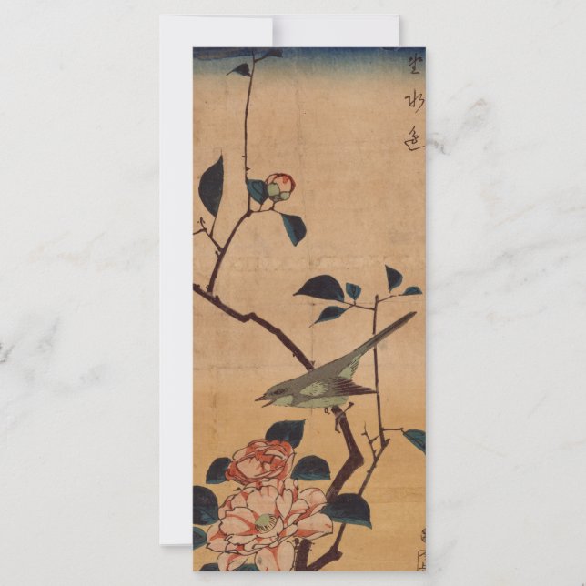 Oriental Camellia und Warbler (Vorderseite)