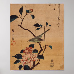 Oriental Camellia und Warbler Poster
