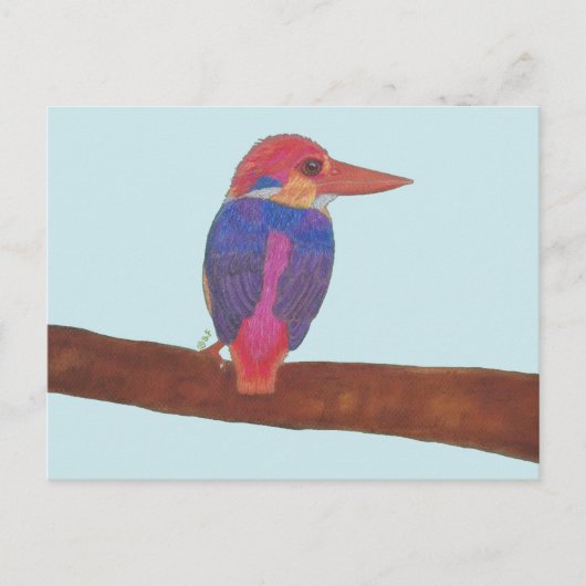 ORIENTAL DWARF KINGFISHER FEIERTAGSPOSTKARTE (Vorderseite)