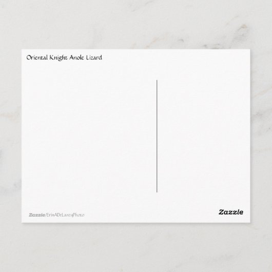 Oriental Knight Anole Lizard nah Postkarte (Rückseite)