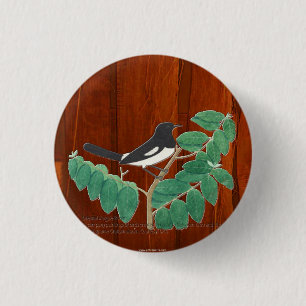 Oriental Magpie-Robin Button