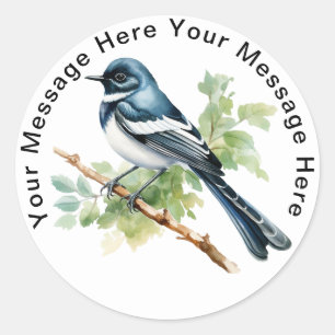 Oriental Magpie-Robin Runder Aufkleber
