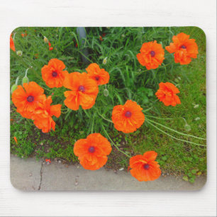 Oriental Poppy Blume Mouse Pad Mousepad
