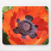 Oriental Poppy Blume Mousepad (Vorne)