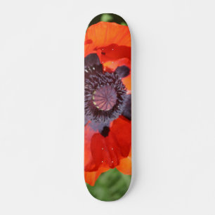 Oriental Poppy Blume Skateboard