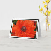Oriental Poppy Greetings Card Karte (Gelbe Blume)