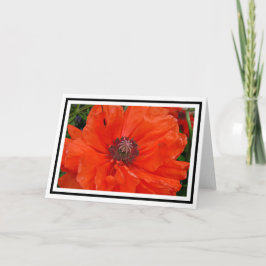 Oriental Poppy Greetings Card Karte