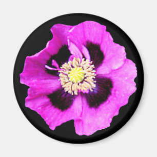 Oriental Poppy Kühlschrankmagnet schwarz