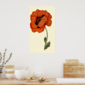 Oriental Poppy Poster (Küche)