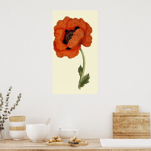 Oriental Poppy Poster (Küche)