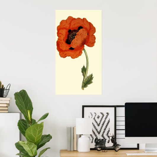 Oriental Poppy Poster (Heimbüro)