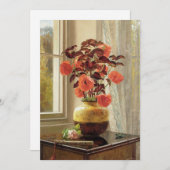 Oriental Poppy und Coleus | Jessica Hayllar (Vorne/Hinten)