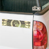 Oriental Sun Autoaufkleber (Auf Lkw)