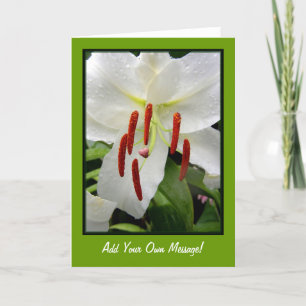 Oriental White Lily Karte