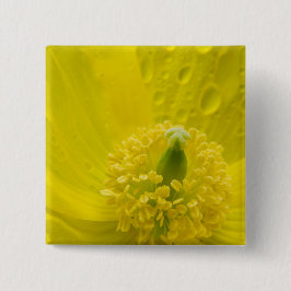 Oriental Yellow Poppy Button