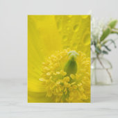 Oriental Yellow Poppy Dankeskarte (Stehend Vorderseite)