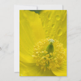 Oriental Yellow Poppy Einladung