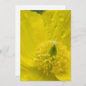 Oriental Yellow Poppy Einladung (Vorne/Hinten)