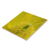 Oriental Yellow Poppy Fliese (Seite)