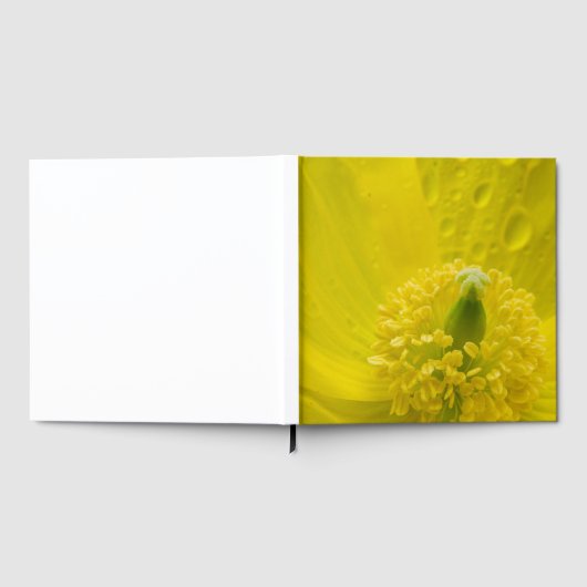 Oriental Yellow Poppy Gästebuch (Voll)