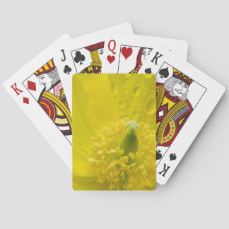 Oriental Yellow Poppy Spielkarten