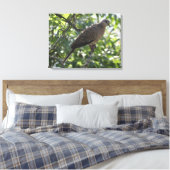 Orientale Turteltaube auf Apricot Baumfotografie Leinwanddruck (Insitu (Schlafzimmer))