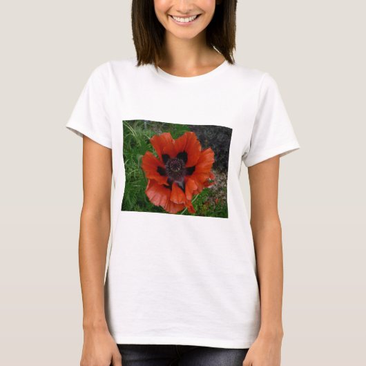 Orientaler Mohn T-Shirt (Vorderseite)