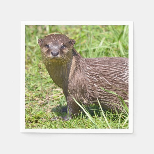 Orientalisch-kleckiger Otter im Gras Serviette (Vorderseite)