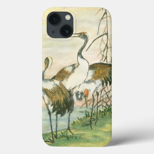 Orientalische Kräne durch das Wasser Case-Mate iPhone Hülle (Rückseite)