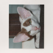 Orientalische Kurzhaarkatze Puzzle (Vertikal)