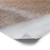 Orientalische Kurzkatzen drucken Poster (Ecke)