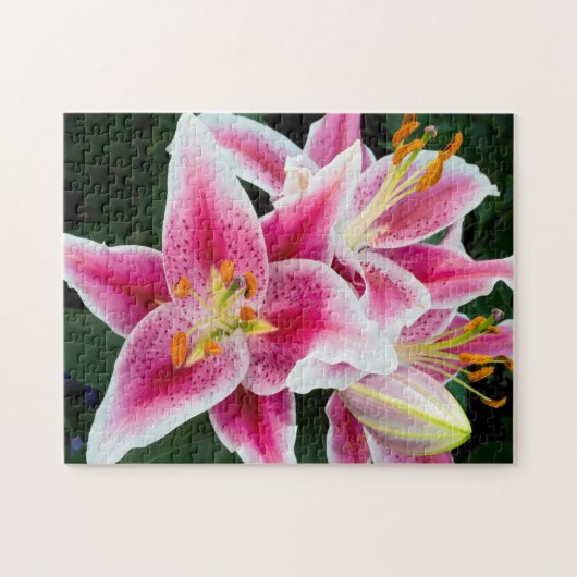 Orientalische Lilie im Vollblut Puzzle (Horizontal)