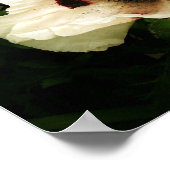 Orientalische Poppies Cream Poster (Ecke)